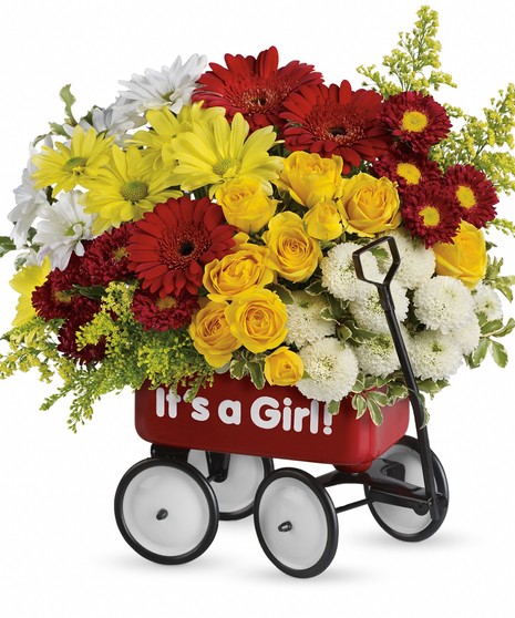 Baby Girl Wow Wagon